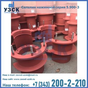 Сальники нажимные серия 5.900-3 в Норильске